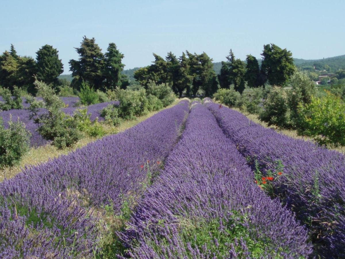 Clos Des 3 Ruisseaux Taulignan Exteriör bild